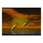 Dolphins cards