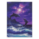Dolphins cards