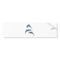 Dolphins dolphins bumper stickers