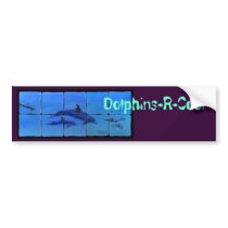 Dolphins , Dolphins-R-Cool bumper stickers