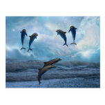 Dolphins fantasy post cards