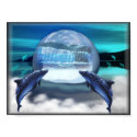 dolphins follow posters by ALEXJO40 dolphins follow posters