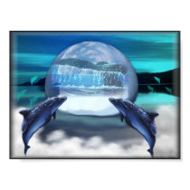 dolphins follow posters