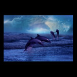 Dolphins fun and play posters