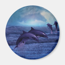 Dolphins fun and play refrigerator magnets