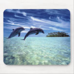 Dolphins Galore Mouse Pads