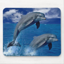 Dolphins  jumping for joy on a mouse pad mousepads