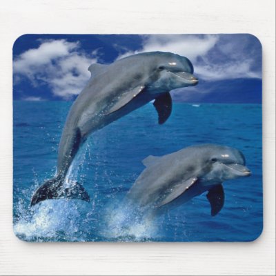 Dolphins jumping for joy on a mouse pad by design_girl