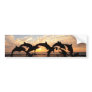 Dolphin's jumping from the water at sunset bumper sticker
