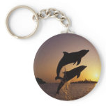 Dolphins Key Chains