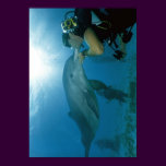 Dolphins Kiss