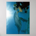 Dolphins Kiss Posters