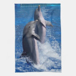 Dolphins kitchen towels