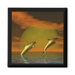 Dolphins Fridge Magnets