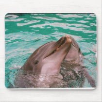 Dolphins mousepads