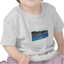 Dolphins Near Palos Verdes Tee Shirt
