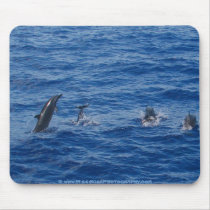 Dolphins ~ Northwest coast of Lanai mousepads by bwissinger Dolphins ~ Northwest coast of Lanai mousepads