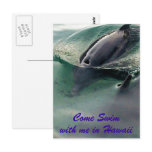Dolphins of Hawaii Dolphins of Hawaii
