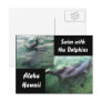 Dolphins of Hawaii Post Cards