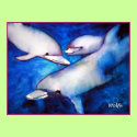 Dolphins of the Deep posters