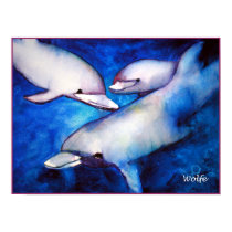 Dolphins of the Deep posters
