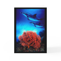 Dolphins over corals cards