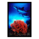 Dolphins over corals posters by Soraia Dolphins over corals posters