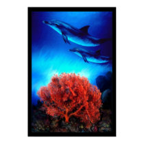 Dolphins over corals posters by Soraia Dolphins over corals posters