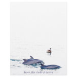 Dolphins Pelican Personalized Letterhead