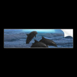 Dolphins playing at moonlight bumper stickers
