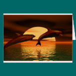 dolphins playing into the sunset cards