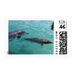 Dolphins Postage