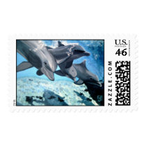 DOLPHINS postage