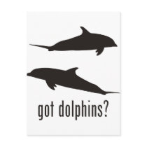 Dolphins Postcard