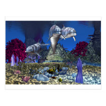 Dolphins Postcard postcards