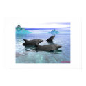Dolphins posters