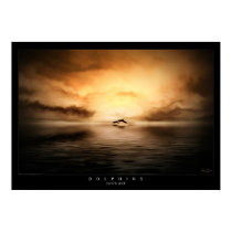 Dolphins posters