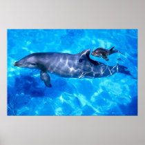 dolphins poster