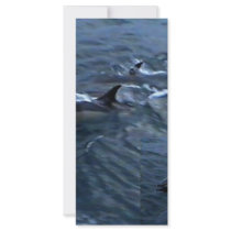 Dolphins rack cards by seascapeart Dolphins rack cards