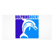Dolphins Rock! #4 Photo Cards
