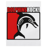 Dolphins Rock! flyers