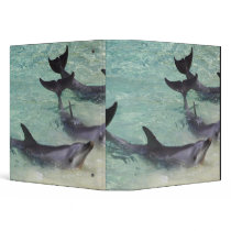 Dolphins, Sea World, Gold Coast, Queensland, Vinyl Binders