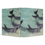 Dolphins, Sea World, Gold Coast, Queensland, Vinyl Binders