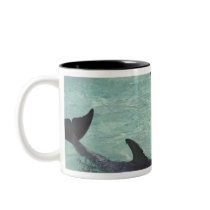 Dolphins, Sea World, Gold Coast, Queensland, Coffee Mugs