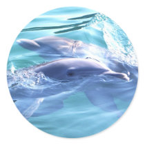 Dolphins stickers by epclarke Dolphins stickers