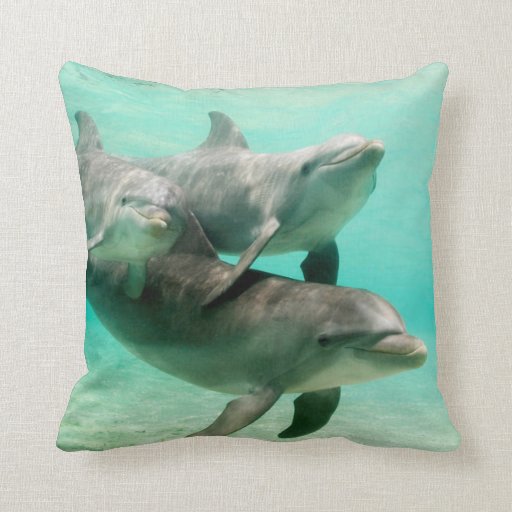 dolphins pillow pet