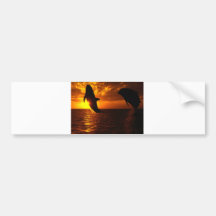 Dolphins Symphony at Sunset Bumper Stickers