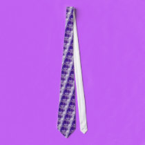 Dolphins ties