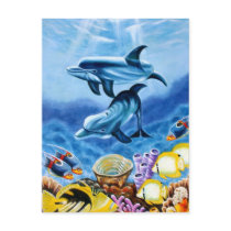 Dolphins Tropical Fish Post Cards