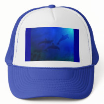 DOLPHINS UNDERWATER hats